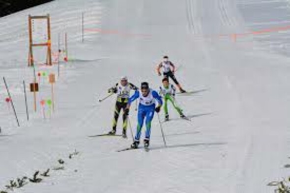 Ski de fond - Grand Prix La Bûcheronne