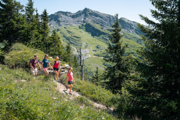 Acro'Park, Avo Kart et Avo'Camp à Avoriaz