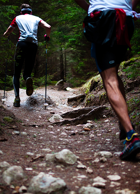 Trail des Marmots - Les Saisies